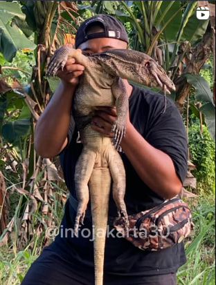 BERBURU OBAT GATAL‼️